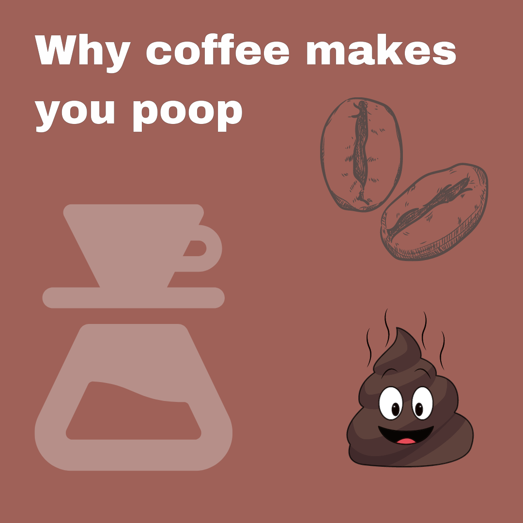 Why drinking coffee makes you poop