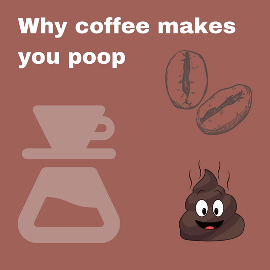 Why drinking coffee makes you poop