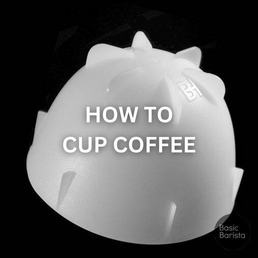 Cup Coffee At Home Basic Barista Barista Hustle Cupping Bowls How to cup coffee