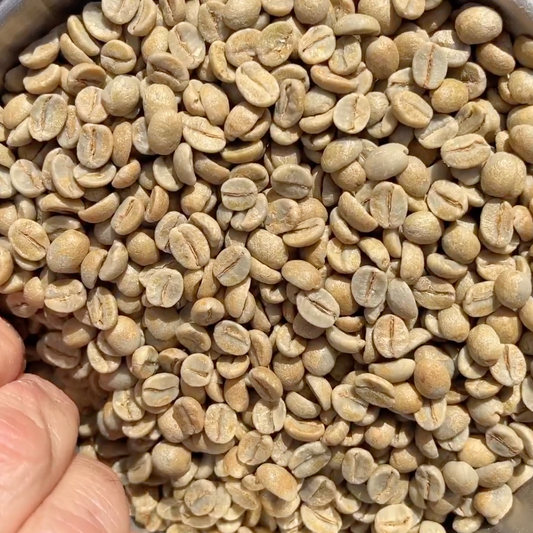 How to roast coffee Basic Barista Basics coffee roasting how to start a coffee roasting business how to roast coffee coffee bags labels brew coffee Melbourne Australia coffee gear