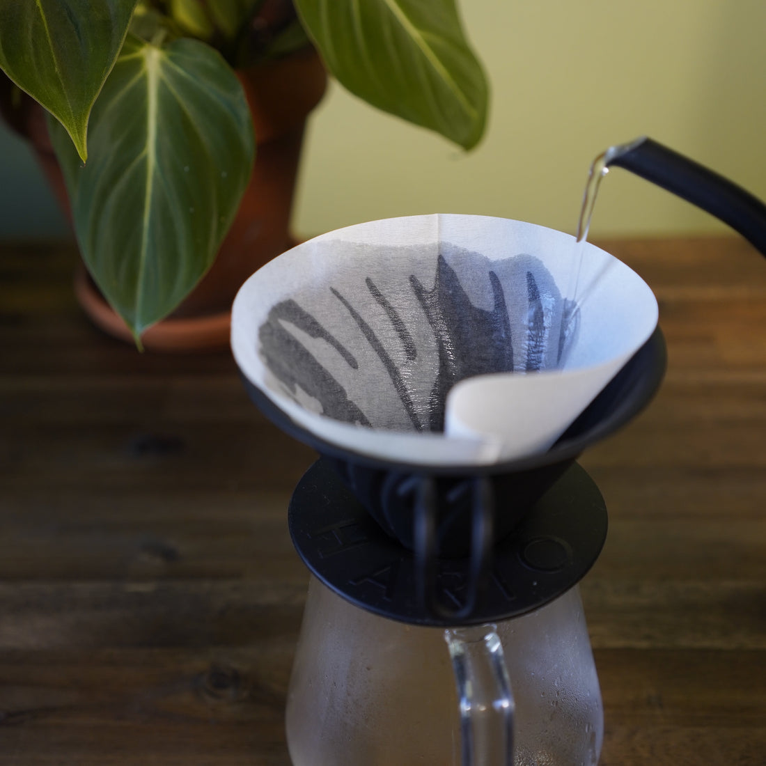 How to set your paper filter for Hario V60 pour over