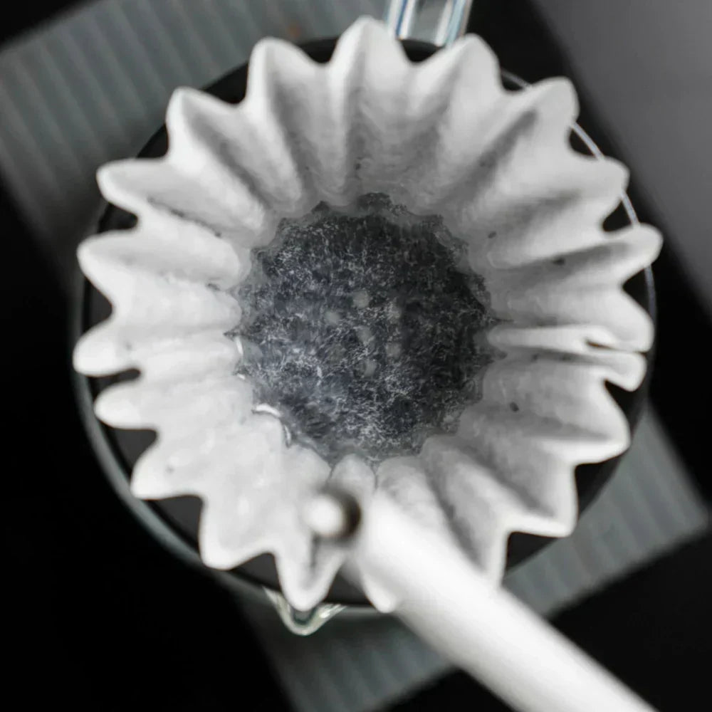 How to choose the right coffee dripper?