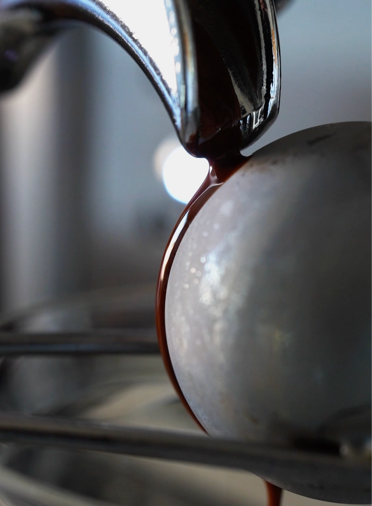 Extract Chilling Coffee Balls - Melbourne Australia Coffee Gear Basic Barista Coffee Gear Extract Chilling Blanching balls