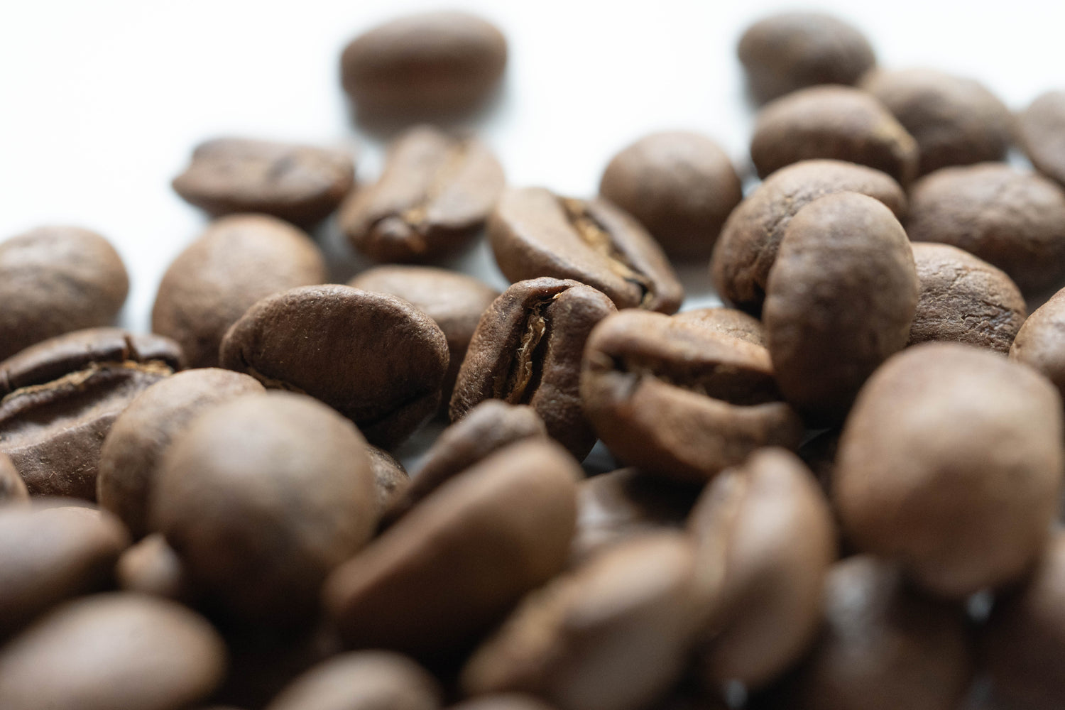 Filter Roasted Specialty Coffee Beans - Basic Barista coffee beans brewing coffee Melbourne Australia Pour over coffee beans