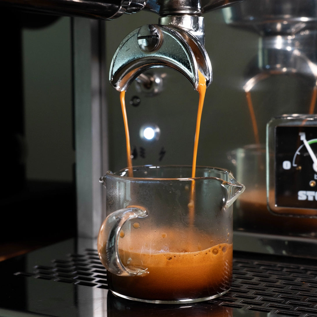 Espresso Shot Glasses Basic Barista coffee Gear - Cafe Espresso Shot Glass