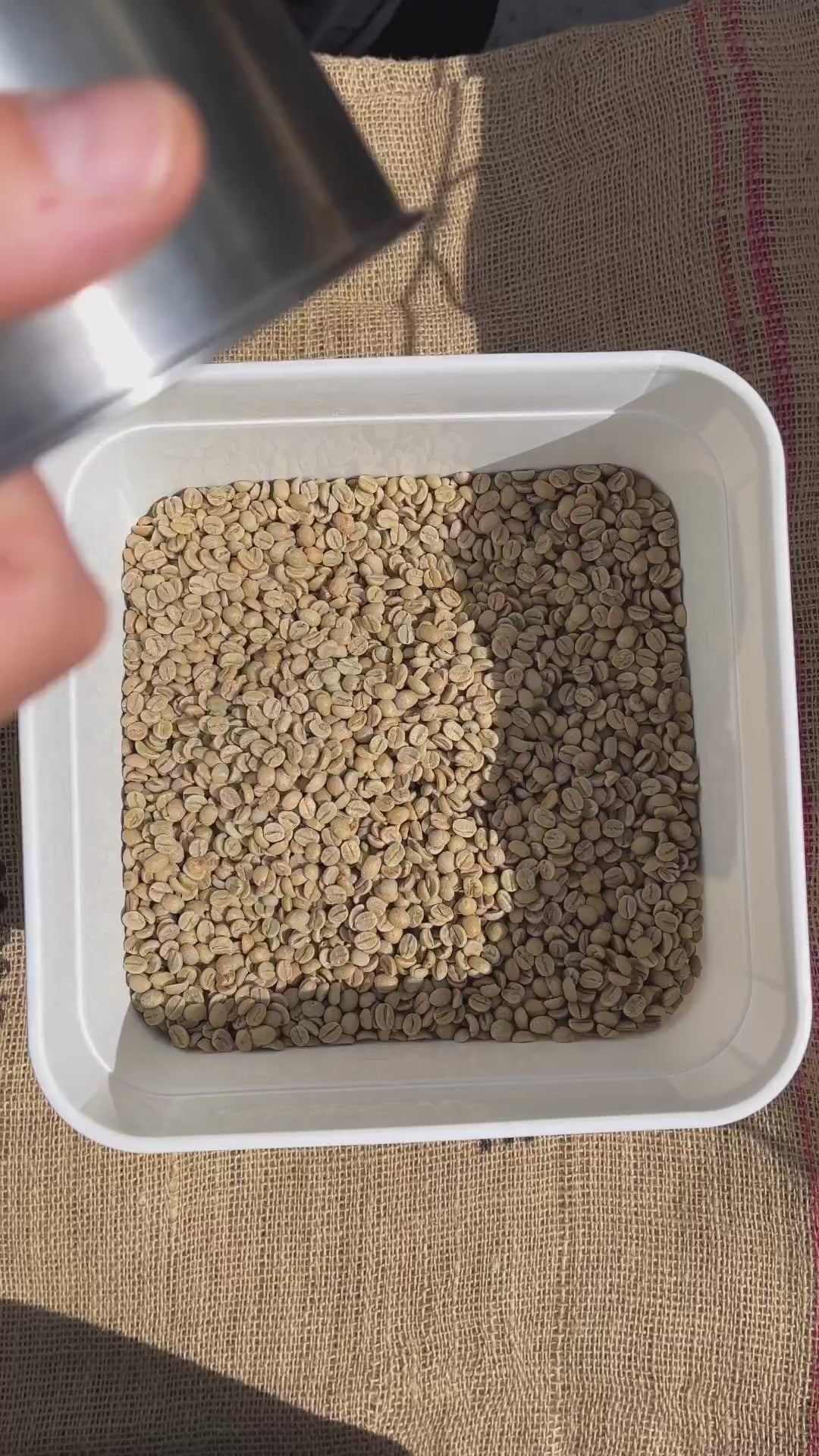 Toxik Bean Coffee Roaster - Micro Coffee Roaster Basic Barista Australia Melbourne Single Origin coffee Beans Specialty coffee
