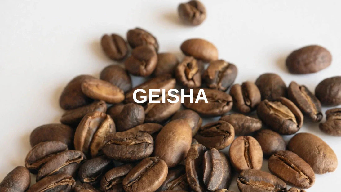 Geisha Coffee Beans - What is Geisha? Gesha Coffee Beans Basic Barista Australia Coffee Gear Online 