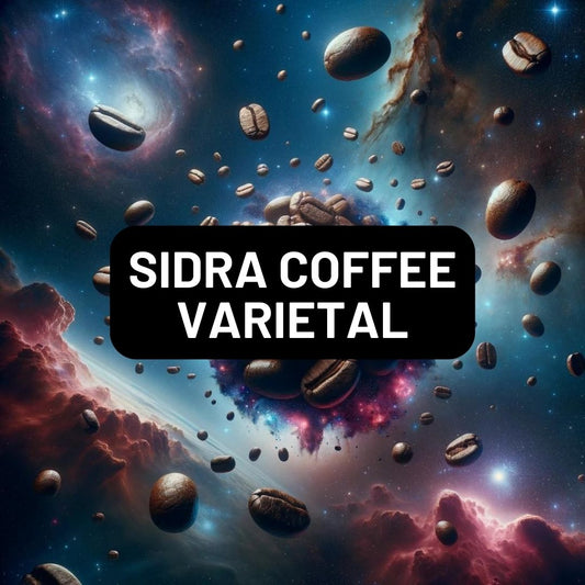 Basic Barista Sidra Coffee Varietal - What is Sidra Coffee? Basic Barista Australia Melbourne