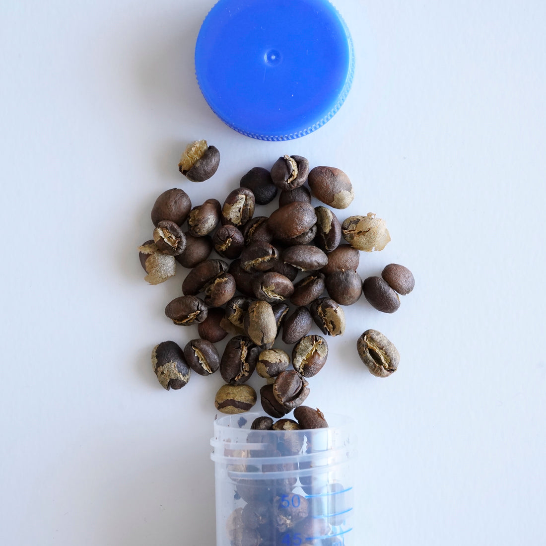 Single Dose Coffee in Centrifuge Tubes Store Coffee Beans Basic Barista Coffee Tube Australia Melbourne