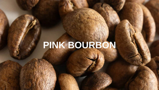 What Is Pink Bourbon Coffee? - Coffee Varietal