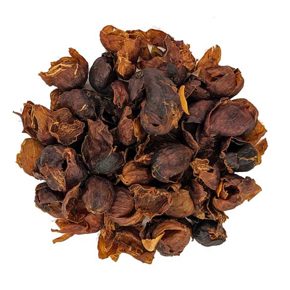 What is Cascara? Coffee Cherry Tea – Basic Barista