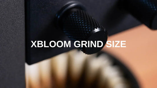 xBloom Studio Grind Size Guide Basic Barista Article xBloom Studio Pour Over Coffee Maker Australia Melbourne Online Coffee Gear