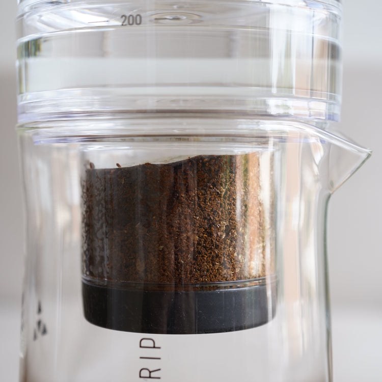 Delter Coffee Gear Basic Barista Cold Brew Coffee Maker Brands Collection Page