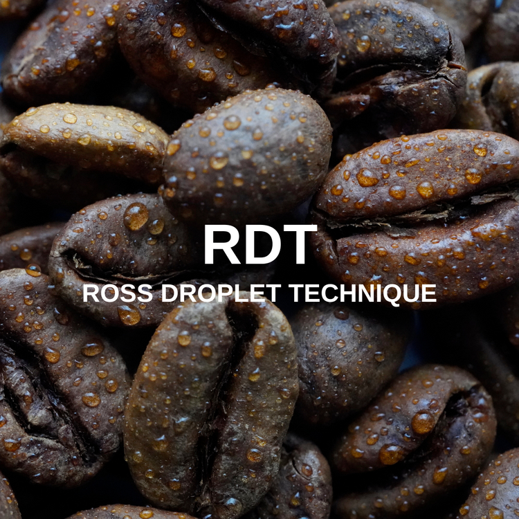 RDT Ross Droplet Technique Coffee Bean Spray RDT Bottle Basic Barista