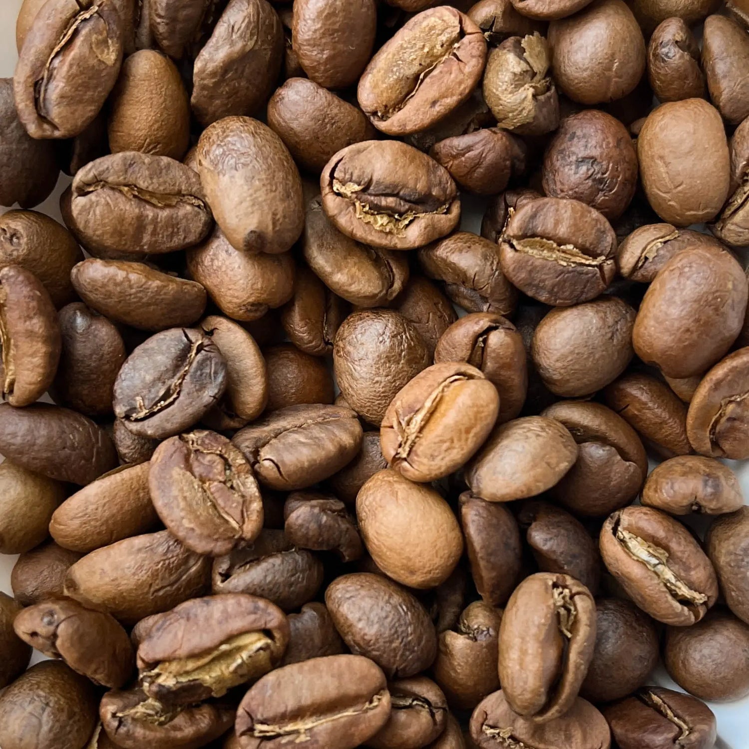 Filter Roasted Coffee Beans Basic Barista