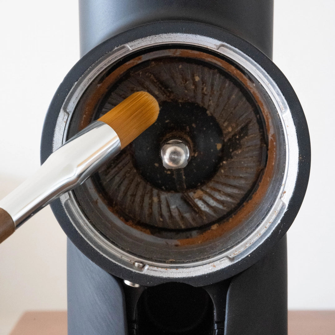 Basic Barista Wooden Grinder Cleaning Brush Cleaning loose Coffee grounds from a Pietro Coffee Grinder burr Set Basic Barista Coffee Gear Online Melbourne Australia