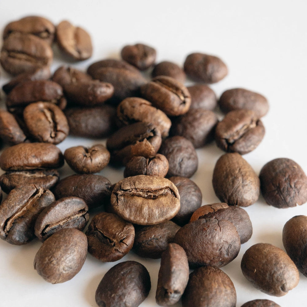 Filter Roasted Coffee Beas Magnum Sidra Coffee Beans Colombian Coffee Basic Barista