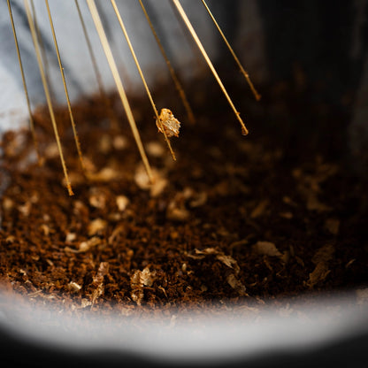 Static holding Chaff Basic Barista Coffee Photography WDT Needles for coffee online coffee gear close up coffee images Pour over coffee gear