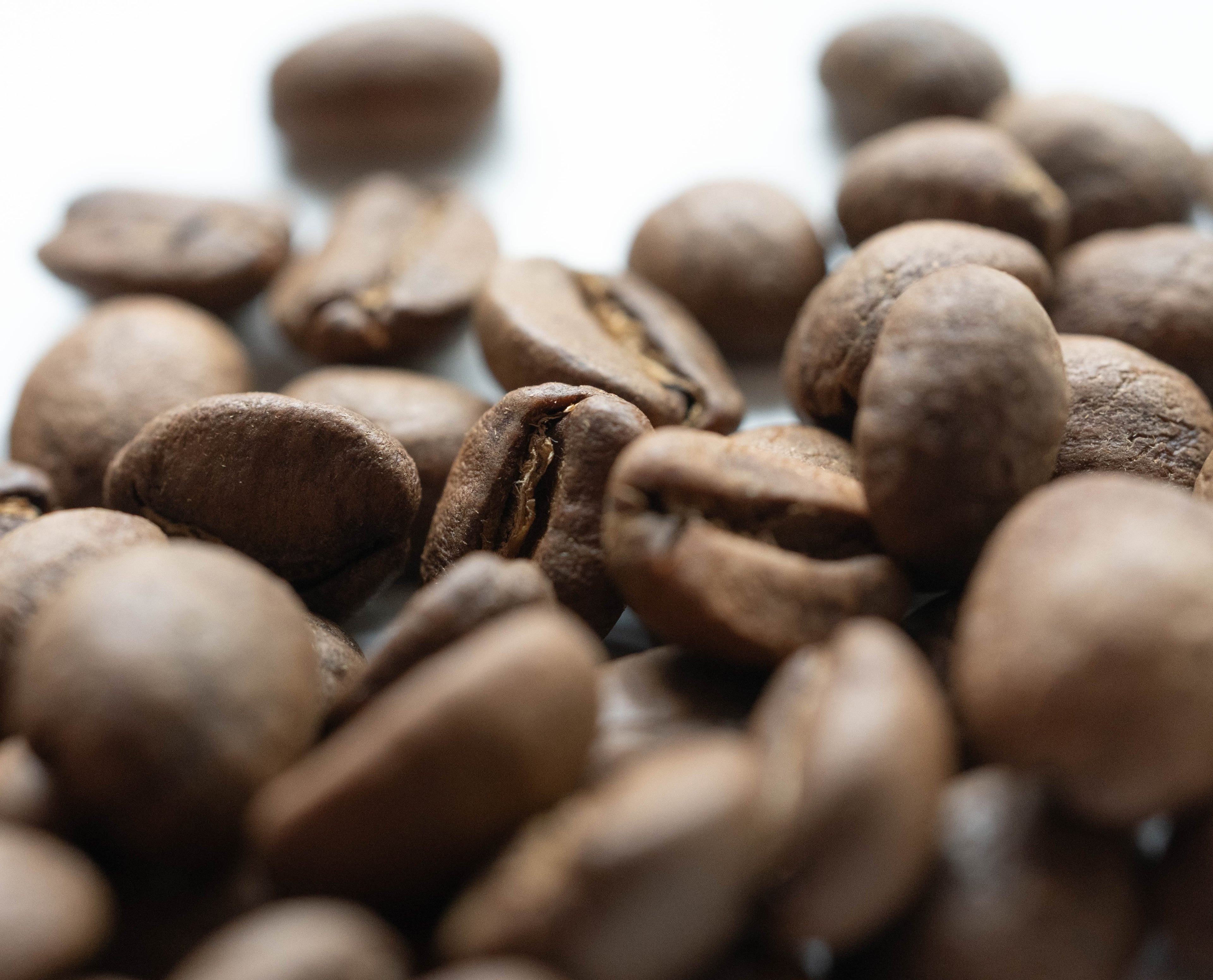 Basic Barista Coffee Beans 